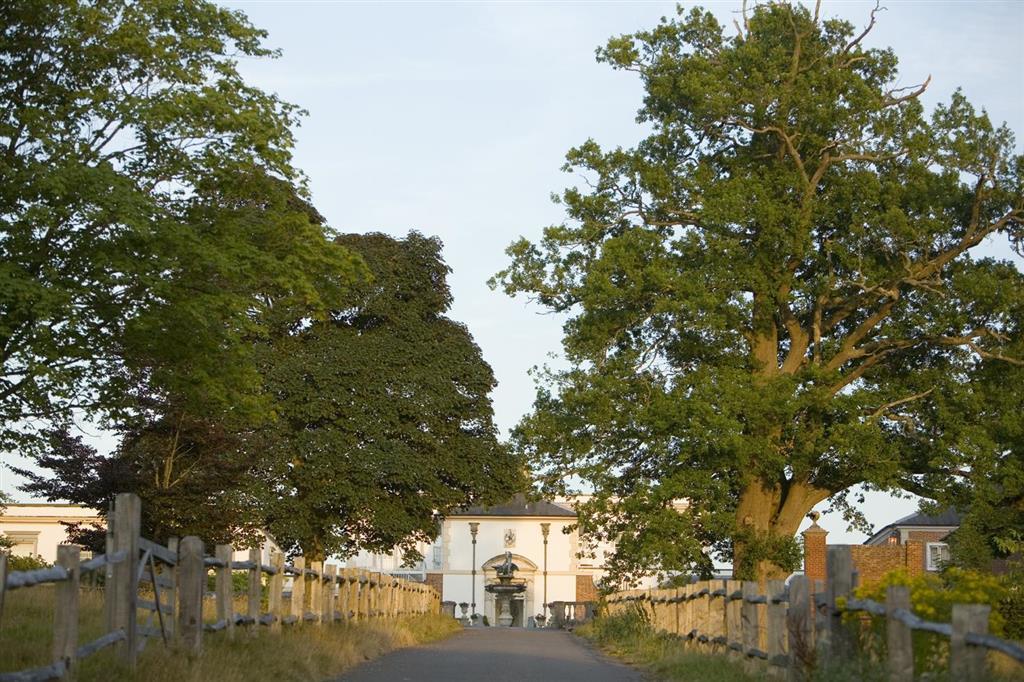 Гостевой дом Buxted Park Country House Экстерьер фото